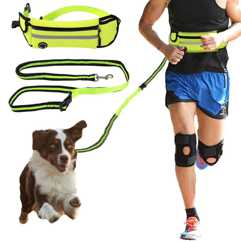 Pet Waist Bag with Sports Traction Rope