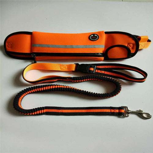 Pet Waist Bag with Sports Traction Rope