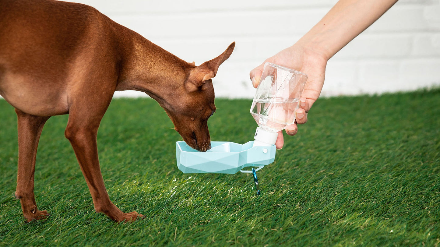 Durable Water Bottle