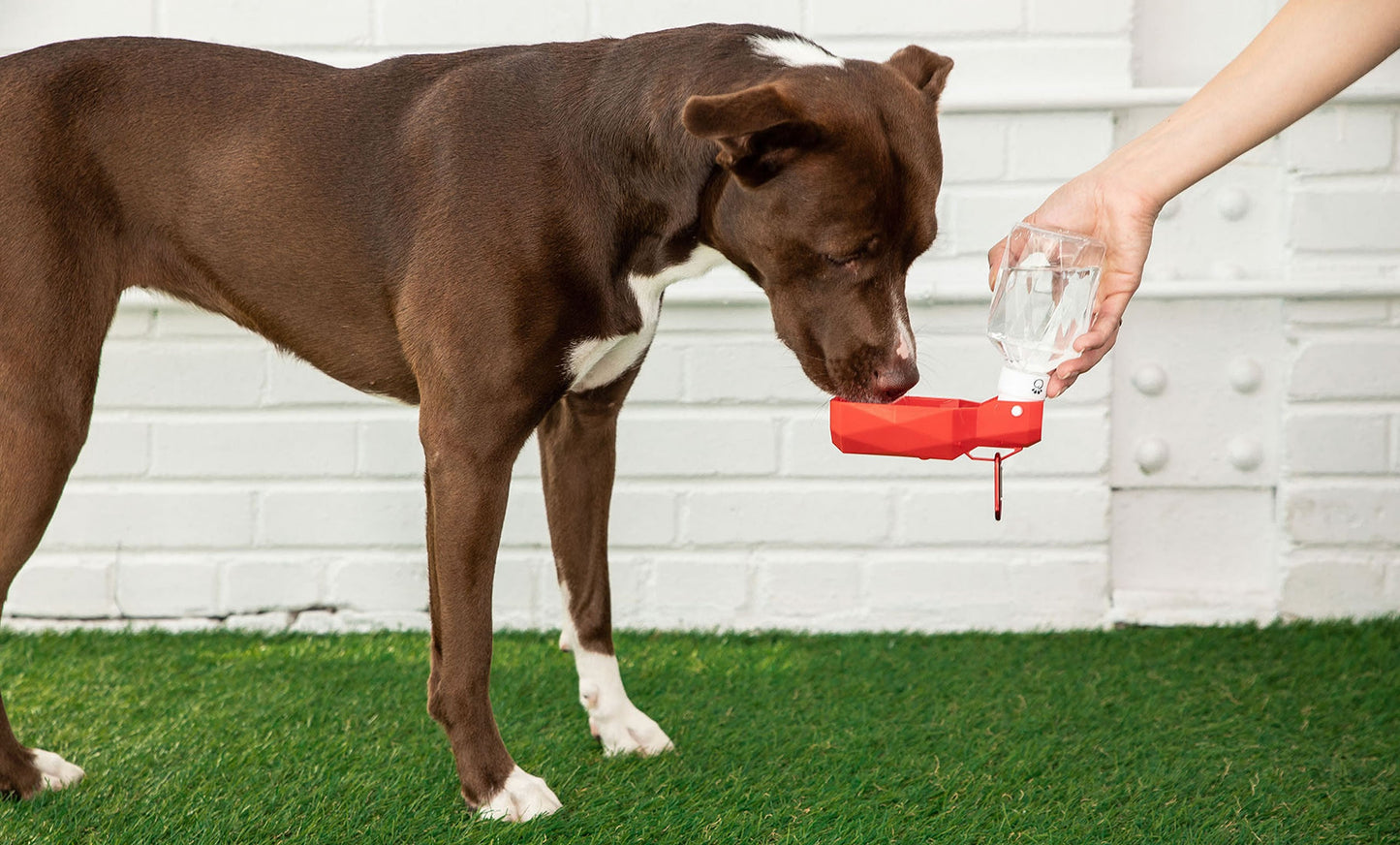 Durable Water Bottle