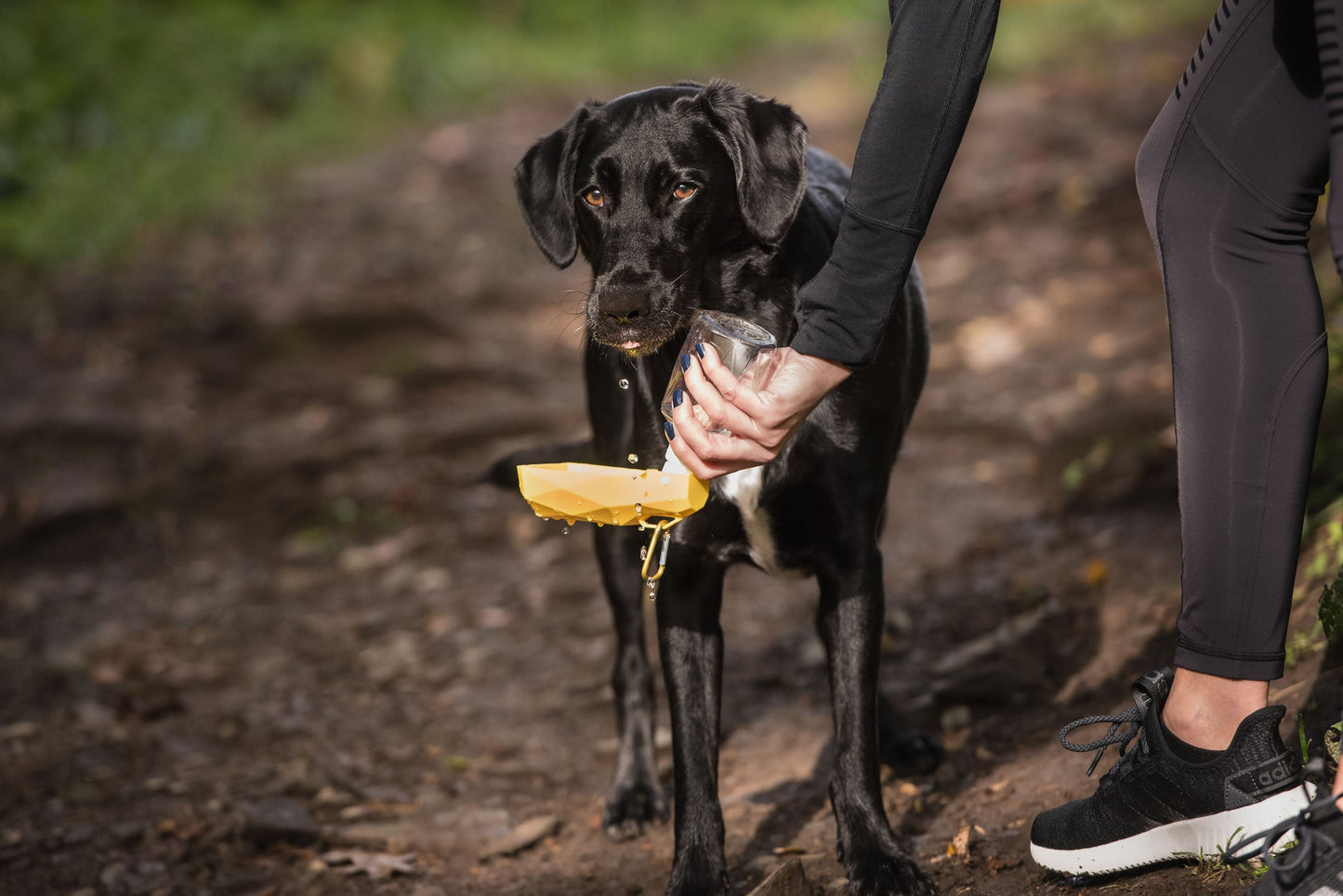 Durable Water Bottle