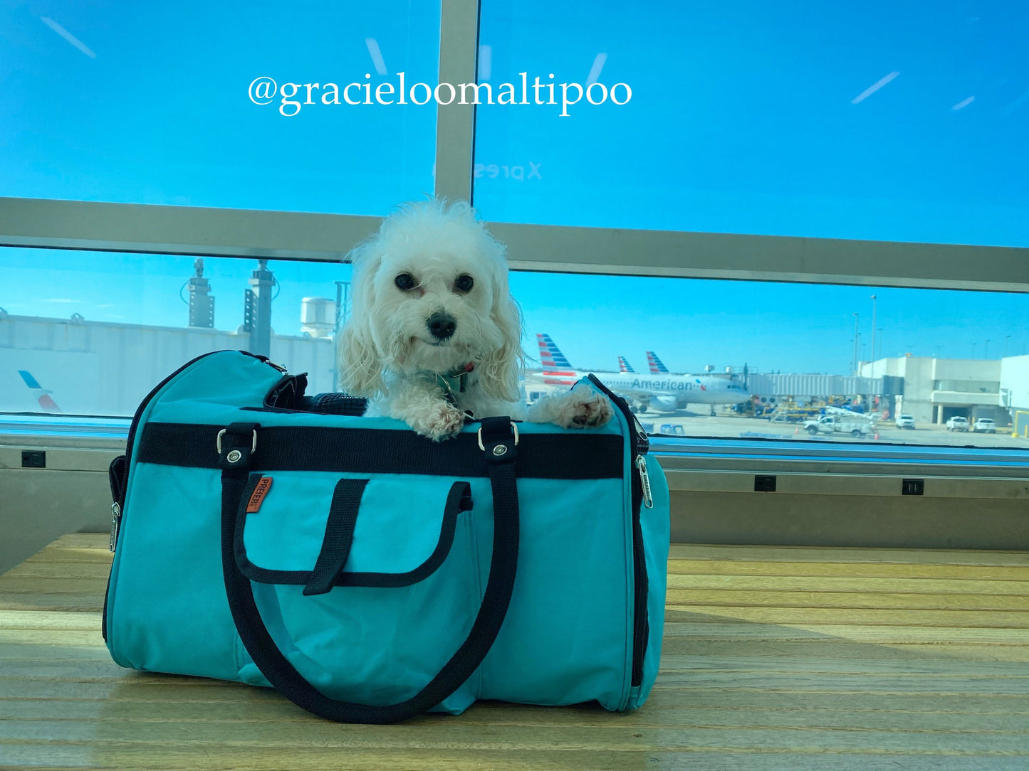 Duffel - Pet Carrier