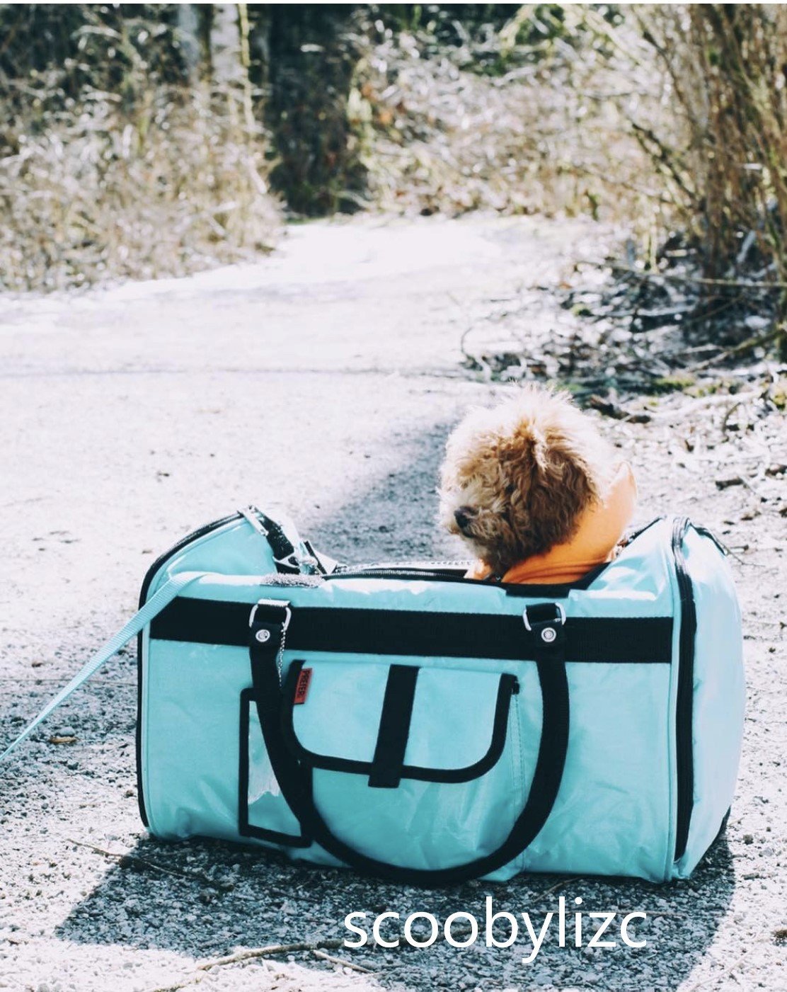 Duffel - Pet Carrier