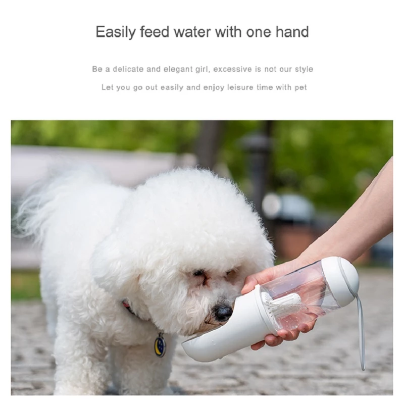 Portable Water Bottle