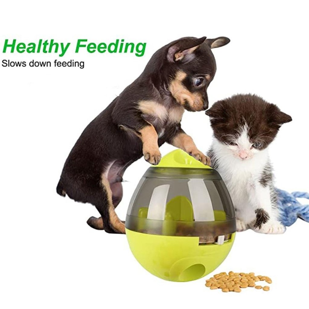 Interactive Food Dispenser Toy
