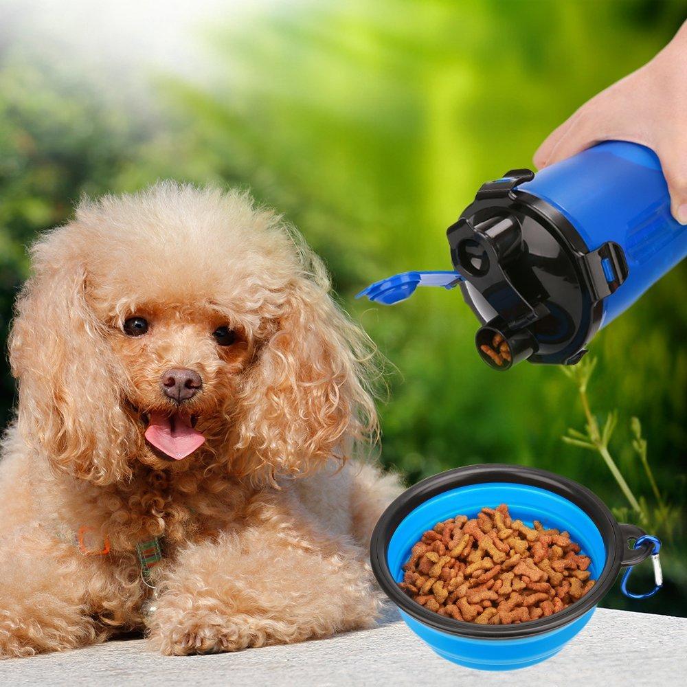 2 in 1 Dog Drinking Water