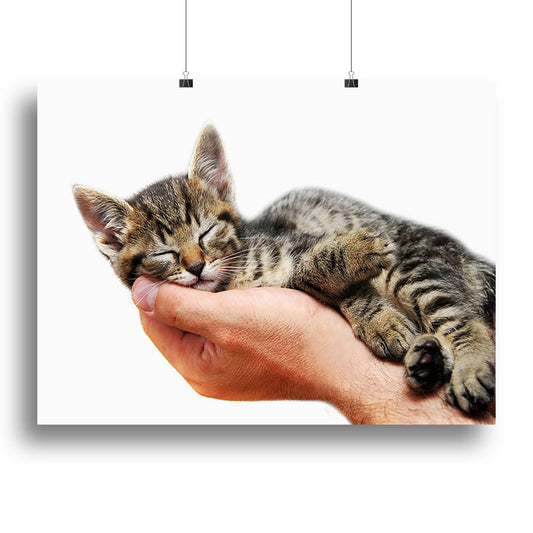 Canvas Print or Poster