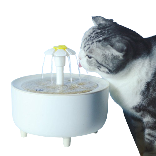 Automatic Drinking Water