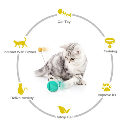 Wheel Swinging Ball Cat Toy