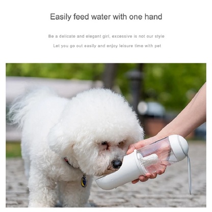 Portable Water Bottle