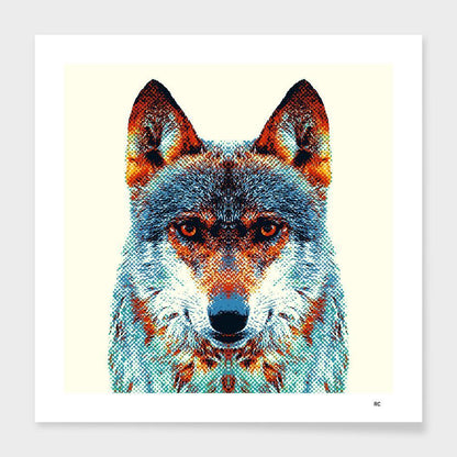 Colorful Wolf Animal Art